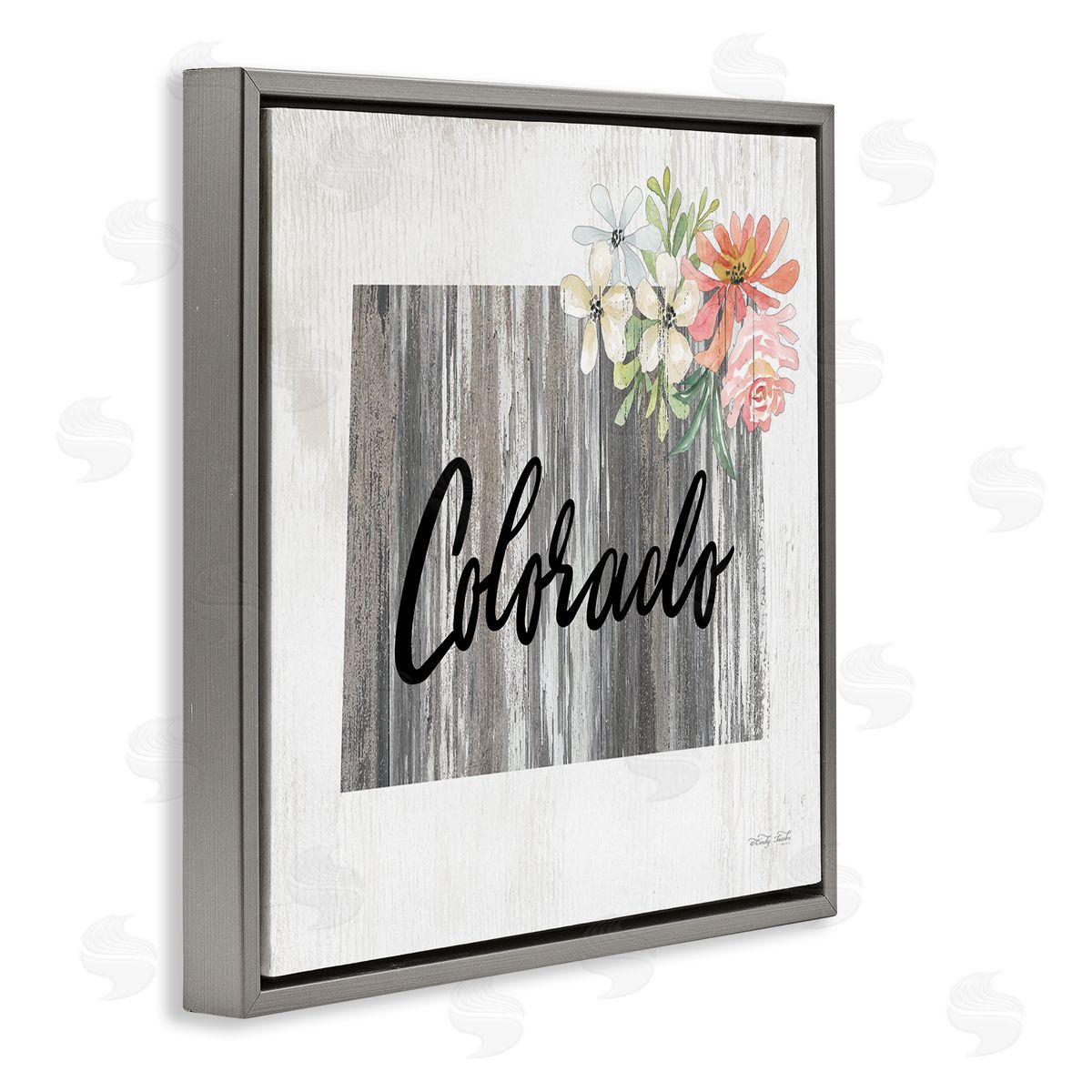 Shabby Chic Colorado Grey Floating Frame Canvas Wall Art, Home Decor by Cindy Jacobs
