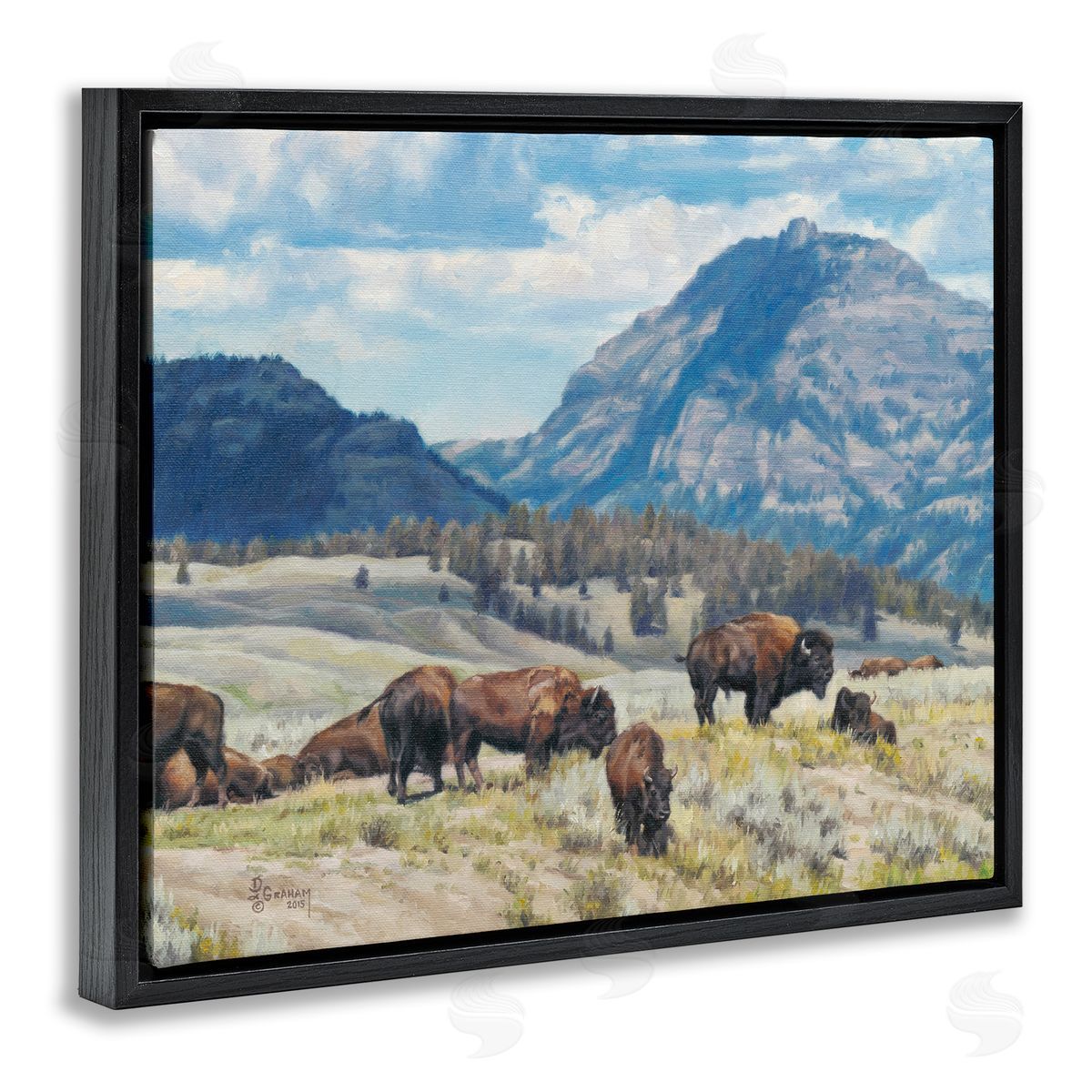 Sunny Afternoon Bison Black Floating Frame Canvas Wall Art, Home Decor by David Graham