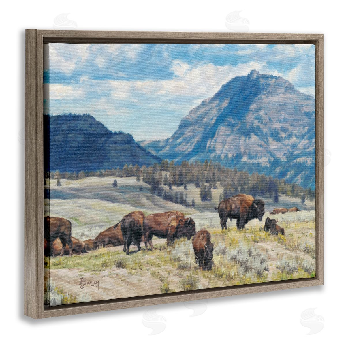 Sunny Afternoon Bison Brown Floating Frame Canvas Wall Art, Home Decor by David Graham