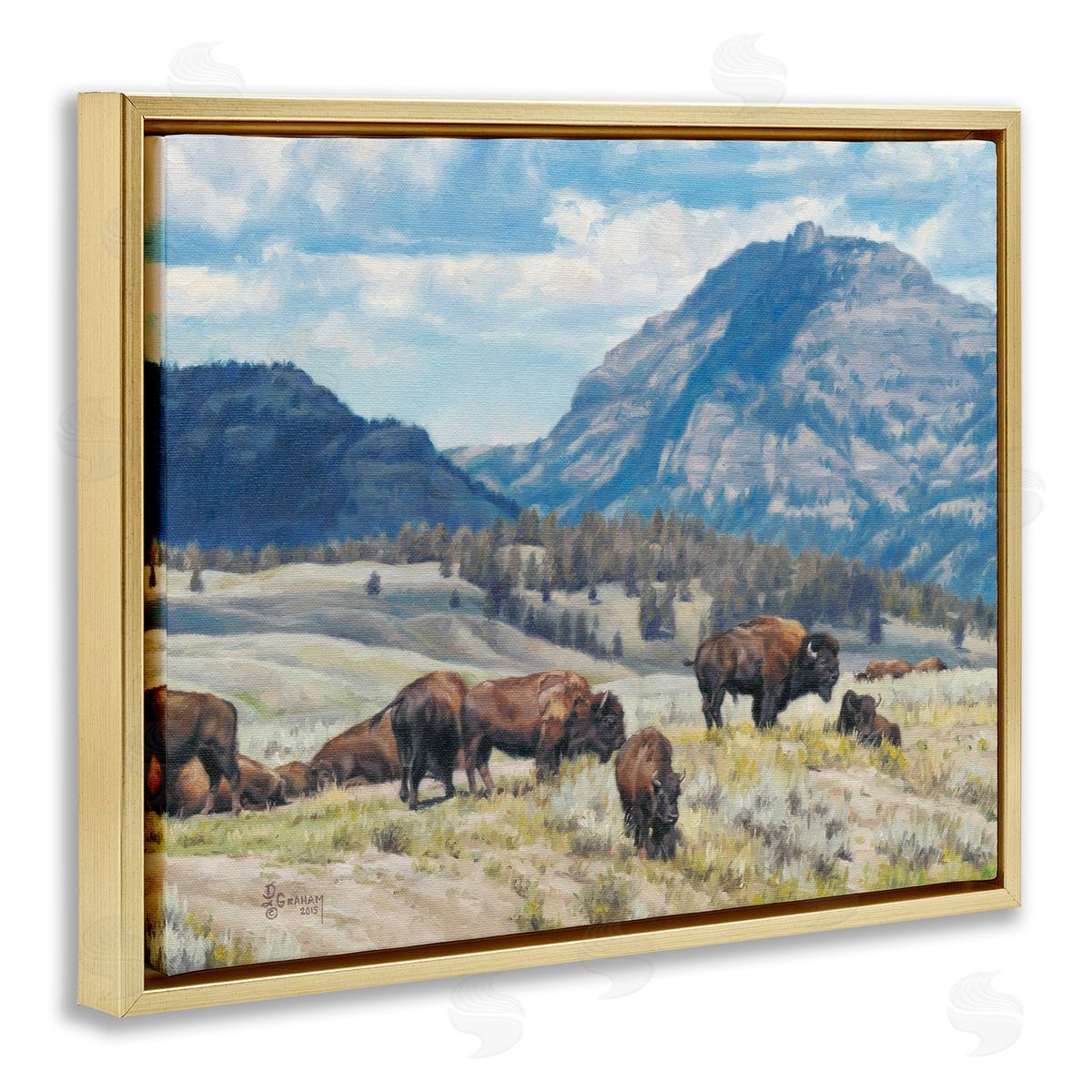 Sunny Afternoon Bison Gold Floating Frame Canvas Wall Art, Home Decor by David Graham