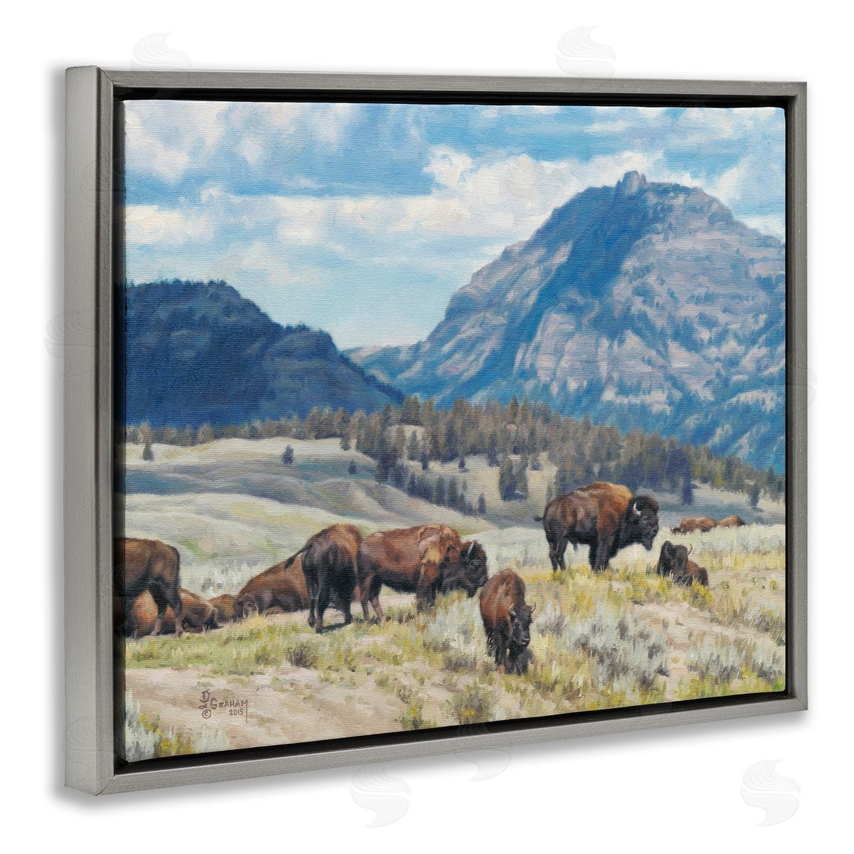 Sunny Afternoon Bison Grey Floating Frame Canvas Wall Art, Home Decor by David Graham