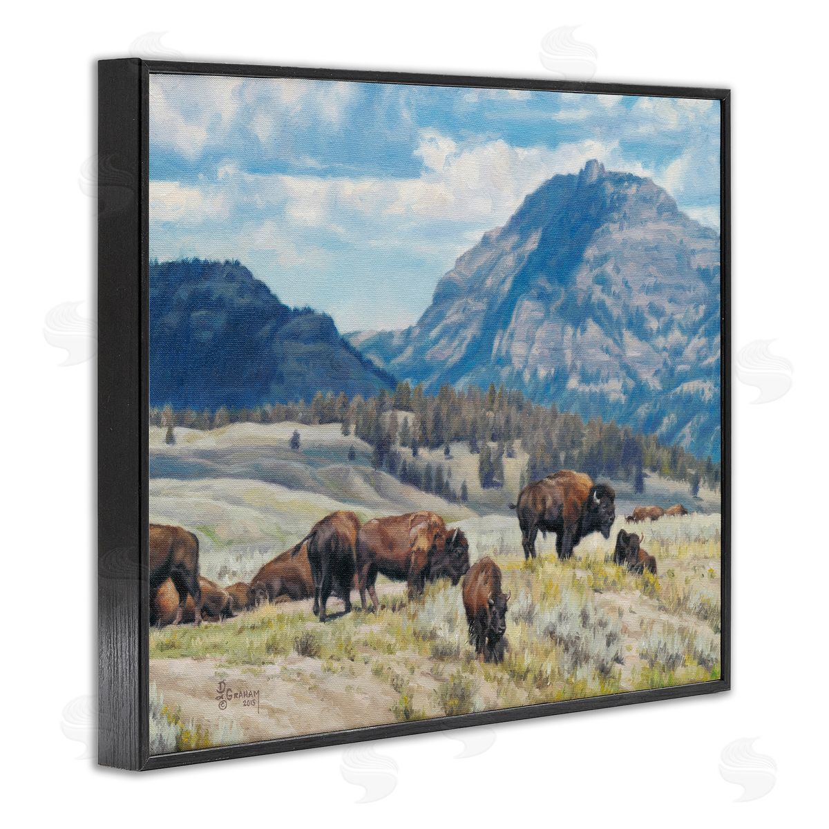 Sunny Afternoon Bison Black Frame Print Wall Art, Home Decor by David Graham