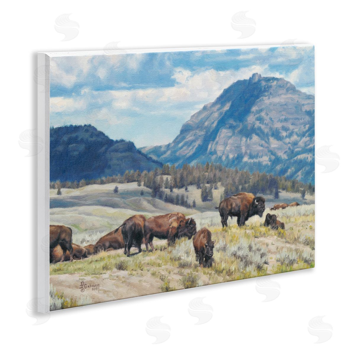Sunny Afternoon Bison Wood Plaque Wall Art, Home Decor by David Graham