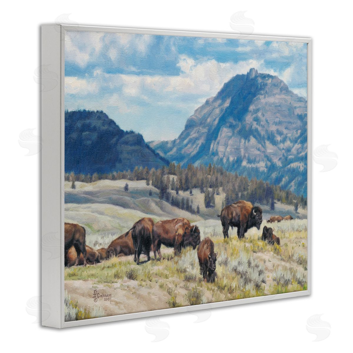 Sunny Afternoon Bison White Frame Print Wall Art, Home Decor by David Graham
