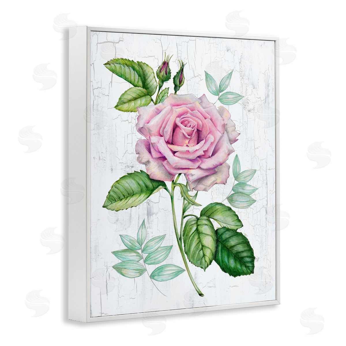 English Manor Rose White Frame Print Wall Art, Home Decor by Levison Design
