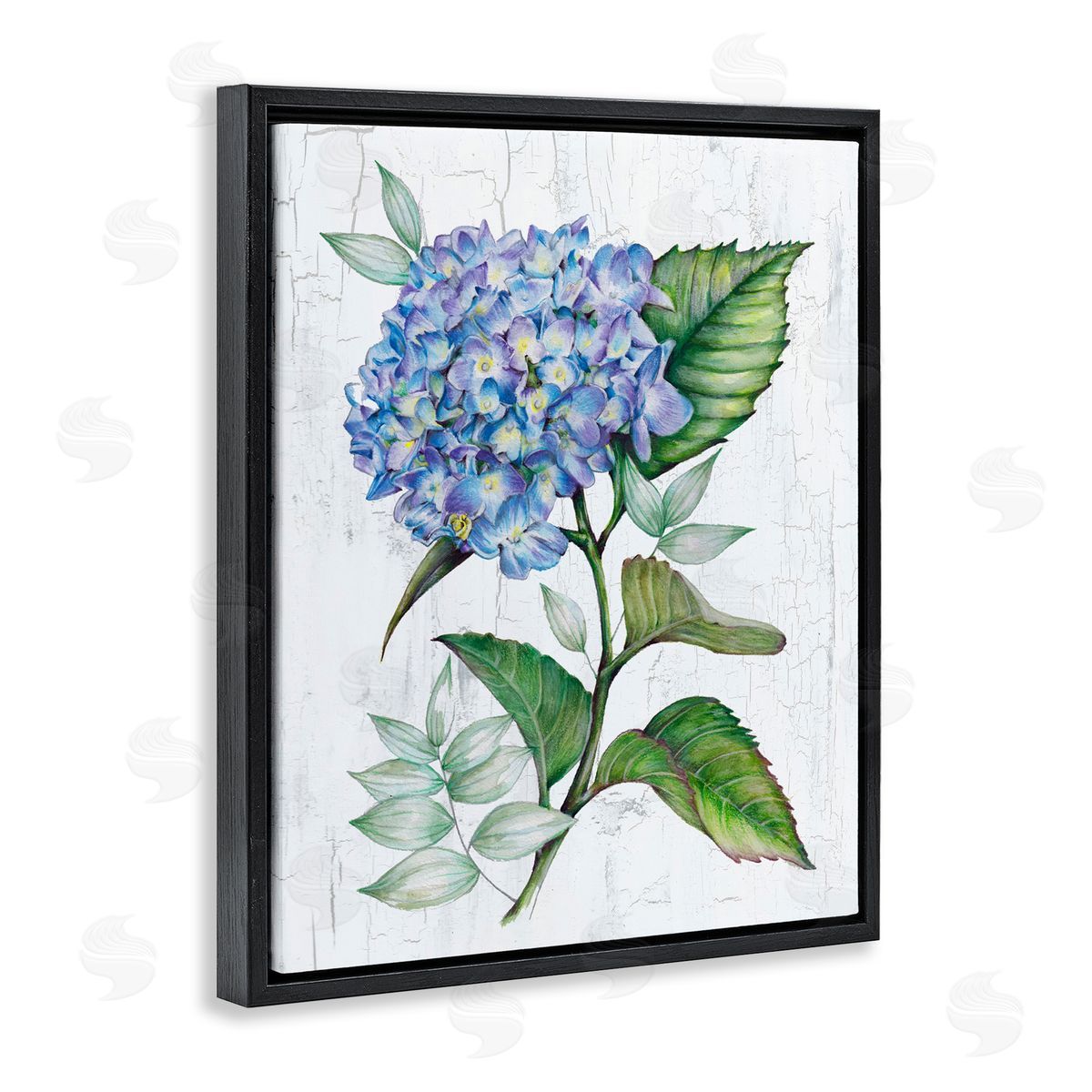 Levison Design English Manor Hydrangea Black Floating Frame Canvas Wall Art Print