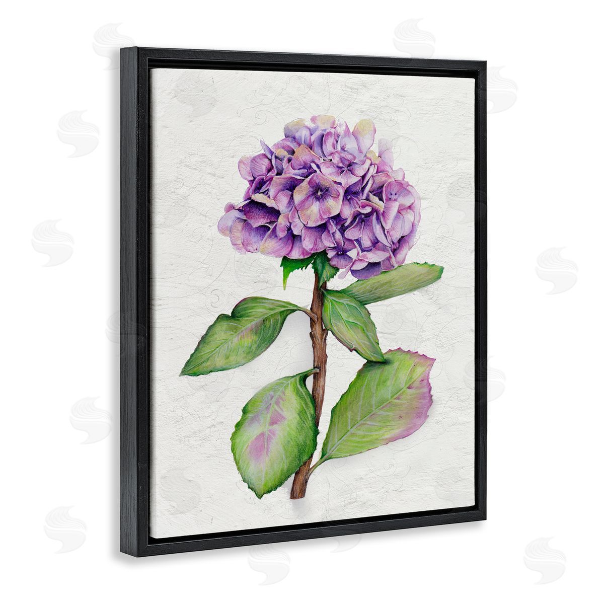 European Style Hydrangea Black Floating Frame Canvas Wall Art, Home Decor by Levison Design