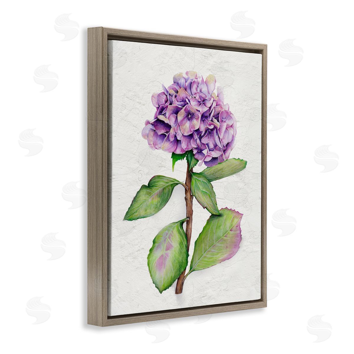 European Style Hydrangea Brown Floating Frame Canvas Wall Art, Home Decor by Levison Design