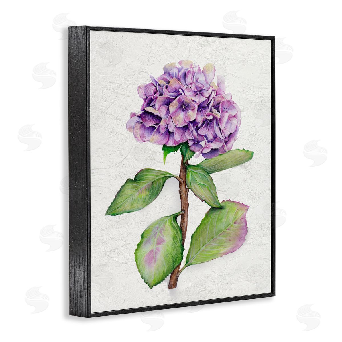 European Style Hydrangea Black Frame Print Wall Art, Home Decor by Levison Design