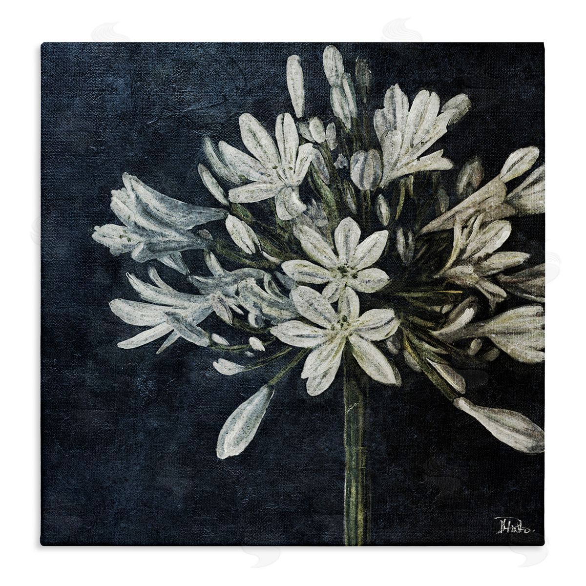 White Herb Blooms Canvas Wall Art, Home Decor by Patricia Pinto