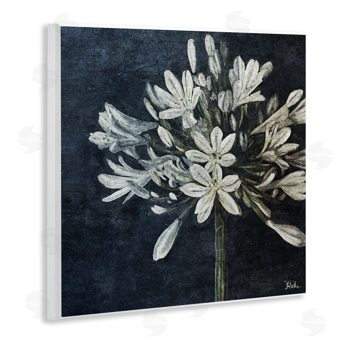 White Herb Blooms Wood Plaque Wall Art, Home Decor by Patricia Pinto
