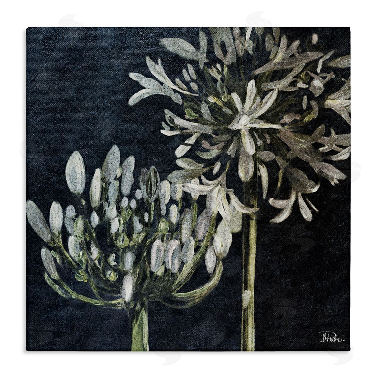Blooming White Herbs Canvas Wall Art, Home Decor by Patricia Pinto