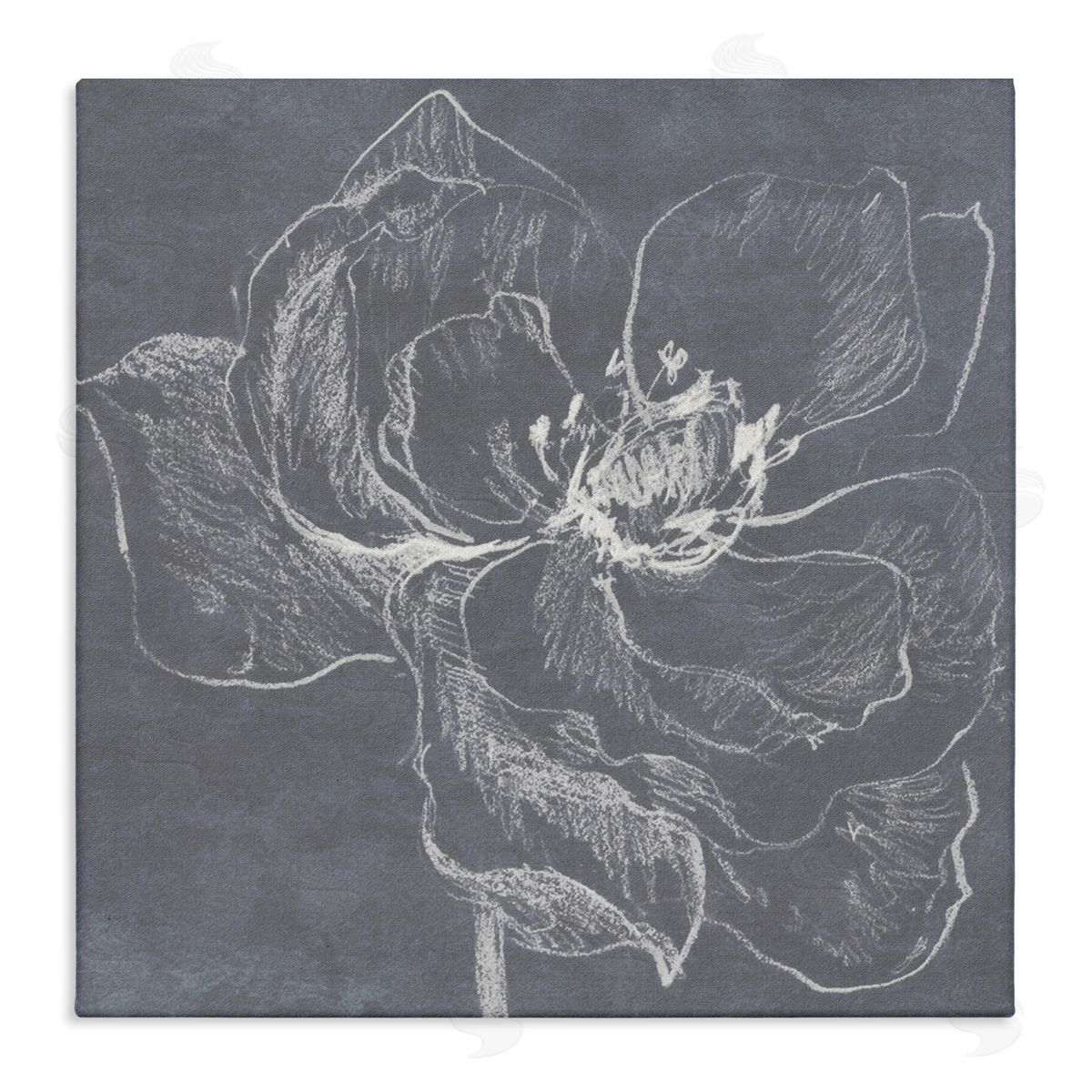 Lanie Loreth Magnolia Doodle Outline Canvas Wall Art Print