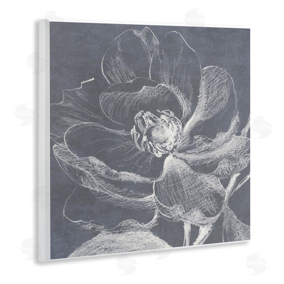 Lanie Loreth Magnolia Sketch Impression Wooden Wall Plaque Art Print