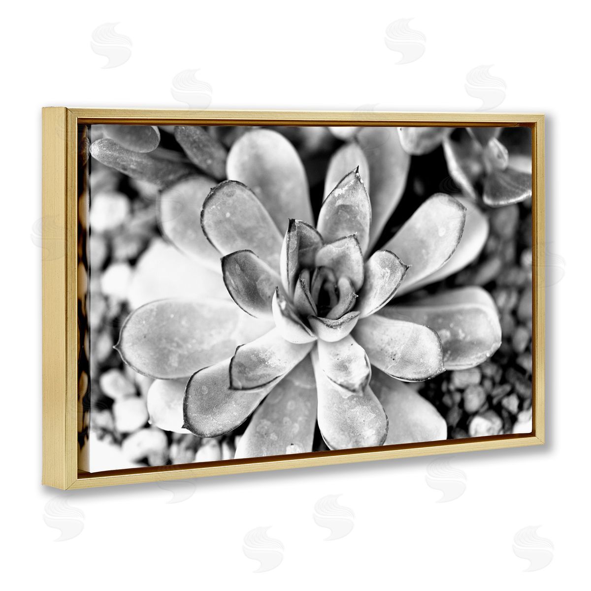 Monochrome Succulent Leaves Gold Floating Frame Canvas Wall Art, Home Decor by Susan Bryant