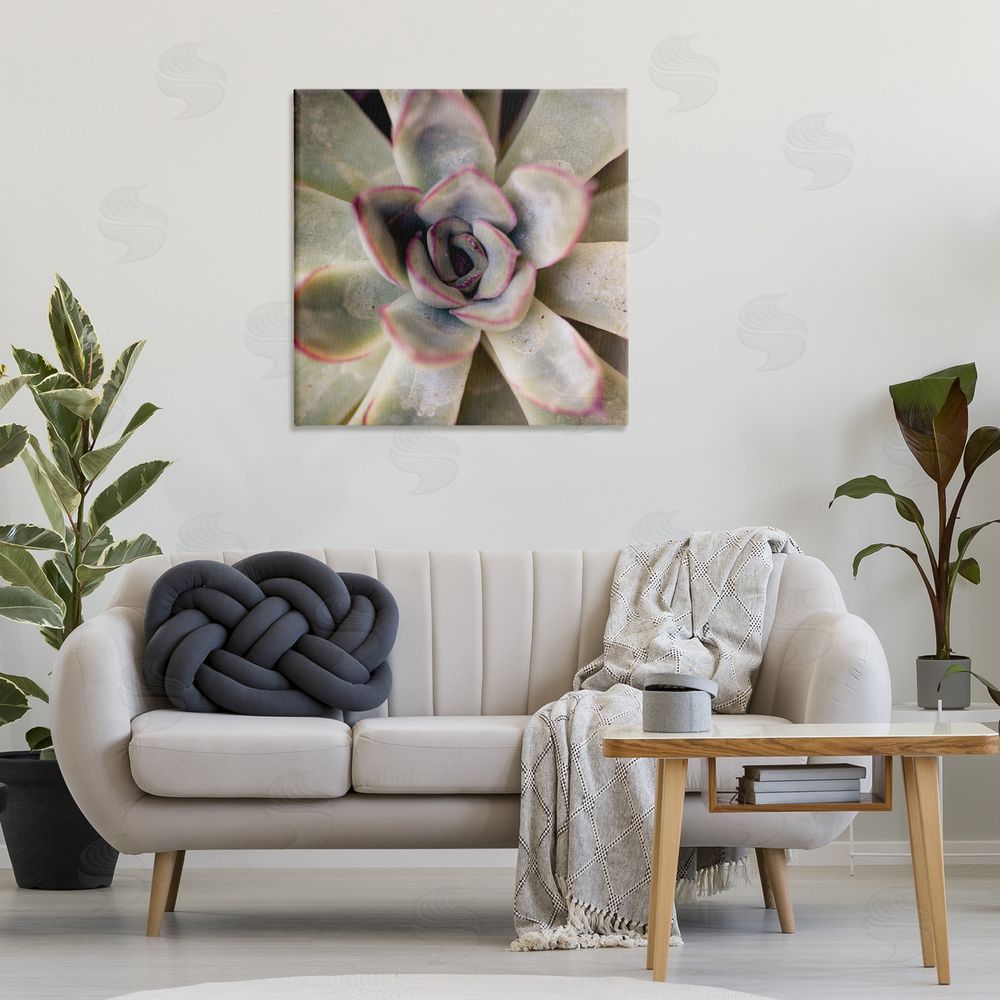 Susan Bryant Succulent Petals Pattern Canvas Wall Art Print in Room