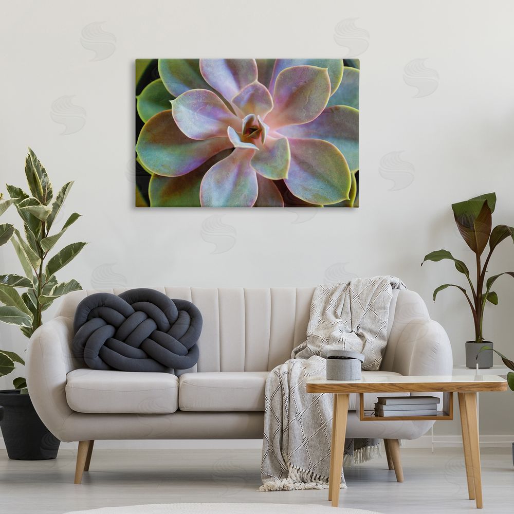 Susan Bryant Blooming Succulent Leaves Canvas Wall Art Print in Room