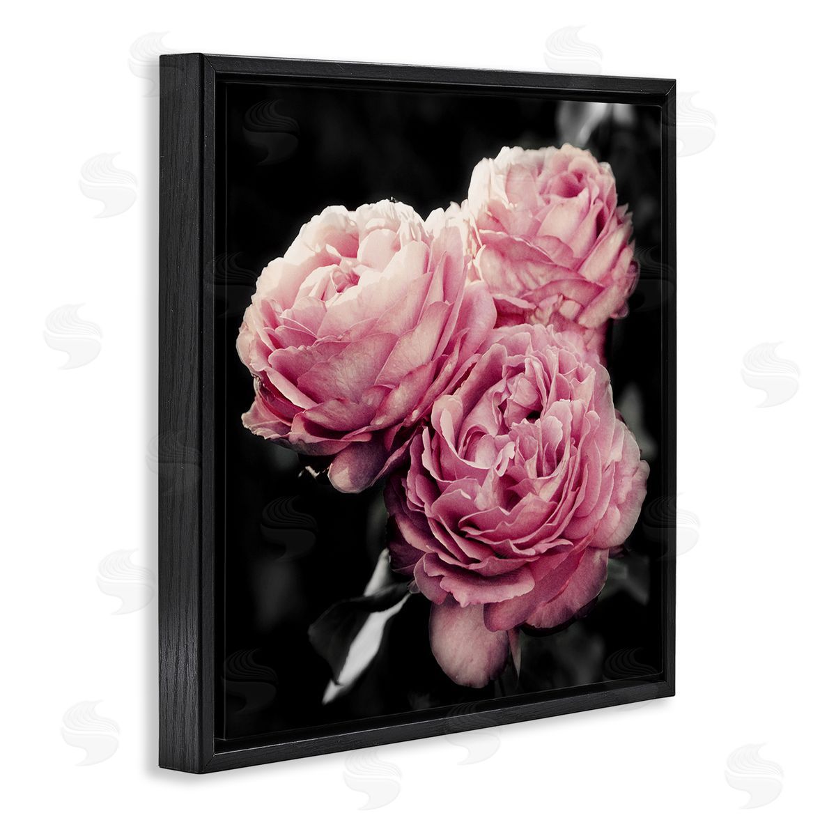 Emily Navas Full Blooming Roses Black Floating Frame Canvas Wall Art Print