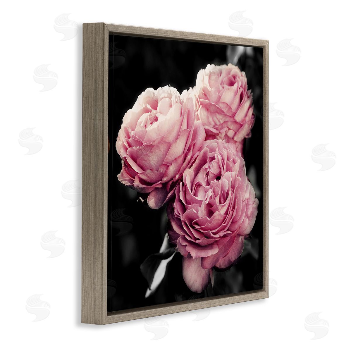 Emily Navas Full Blooming Roses Brown Floating Frame Canvas Wall Art Print