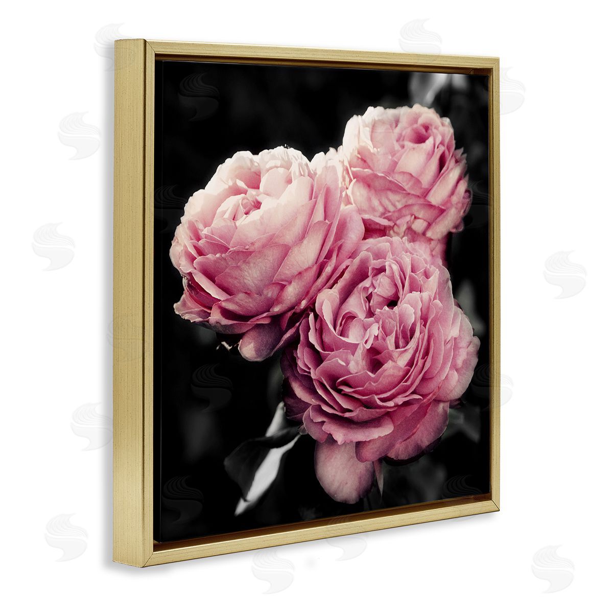 Emily Navas Full Blooming Roses Gold Floating Frame Canvas Wall Art Print