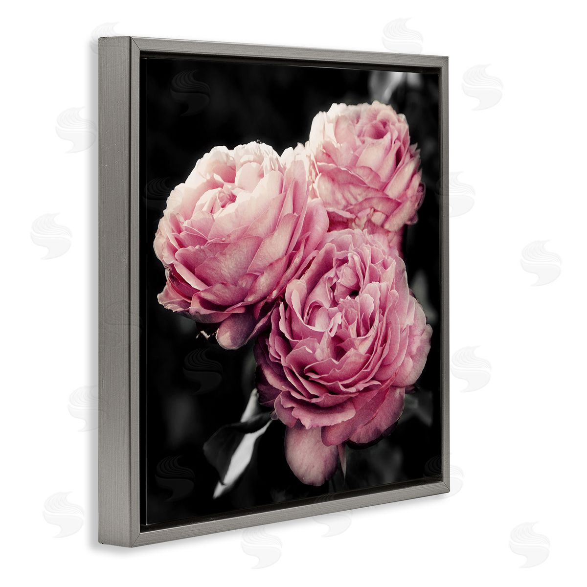 Emily Navas Full Blooming Roses Gray Floating Frame Canvas Wall Art Print