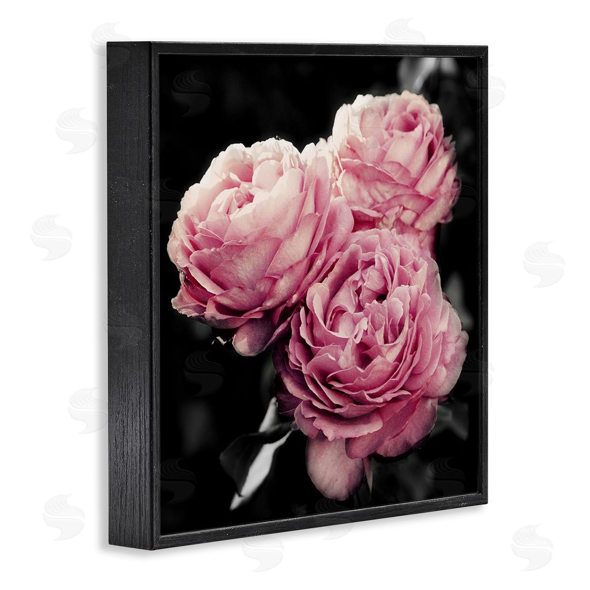 Emily Navas Full Blooming Roses Black Framed Giclee Wall Art Print