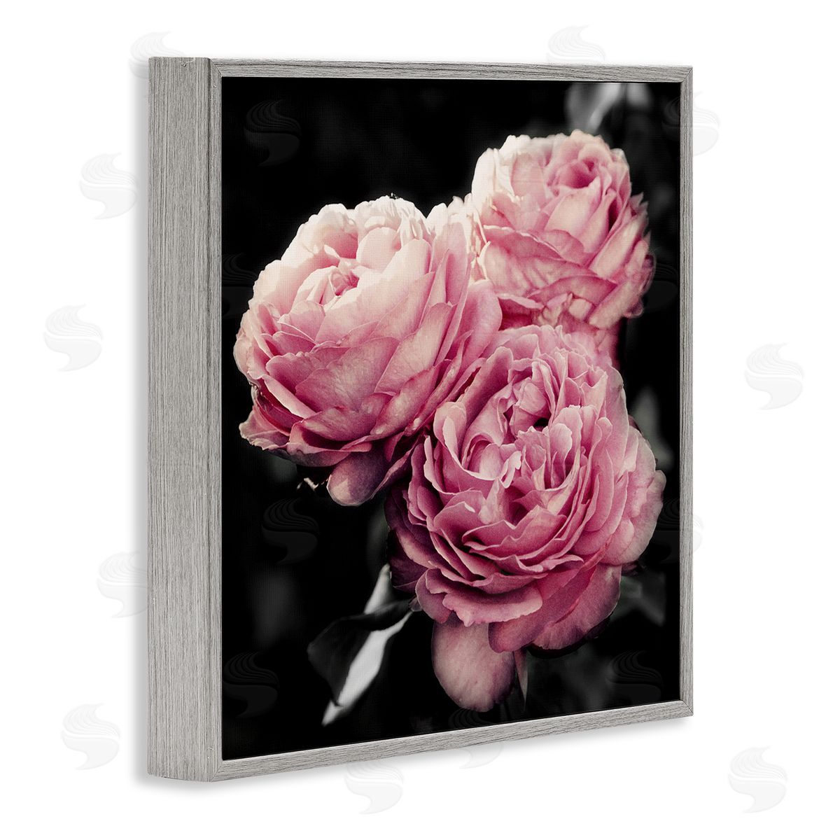 Emily Navas Full Blooming Roses Gray Framed Giclee Wall Art Print