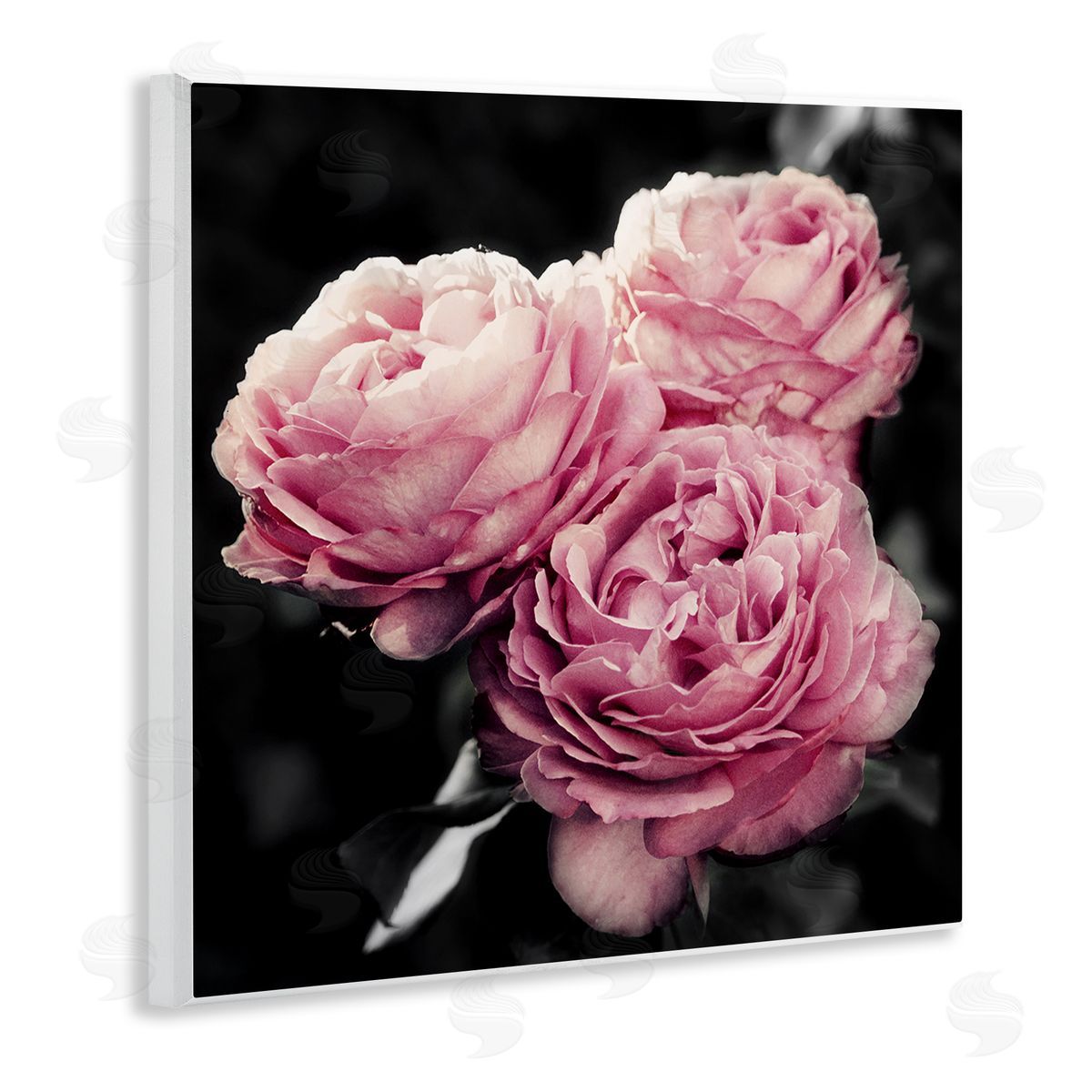 Emily Navas Full Blooming Roses Wooden Wall Plaque Art Print