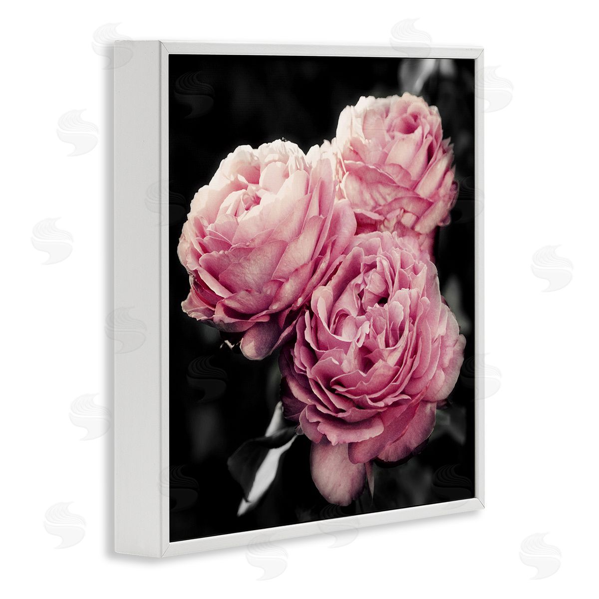 Emily Navas Full Blooming Roses White Framed Giclee Wall Art Print