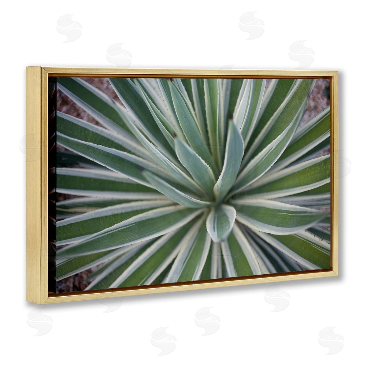 Centric Succulent Leaves Gold Floating Frame Canvas Wall Art, Home Decor by Susan Bryant