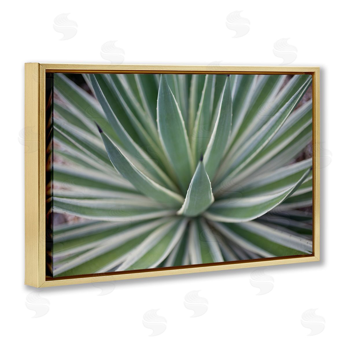 Striped Plant Leaves Gold Floating Frame Canvas Wall Art, Home Decor by Susan Bryant