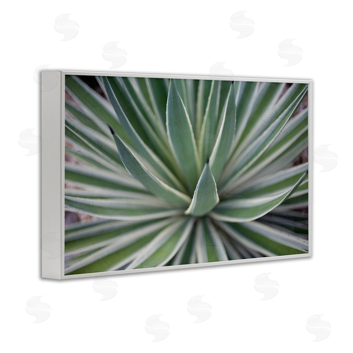Striped Plant Leaves White Frame Print Wall Art, Home Decor by Susan Bryant
