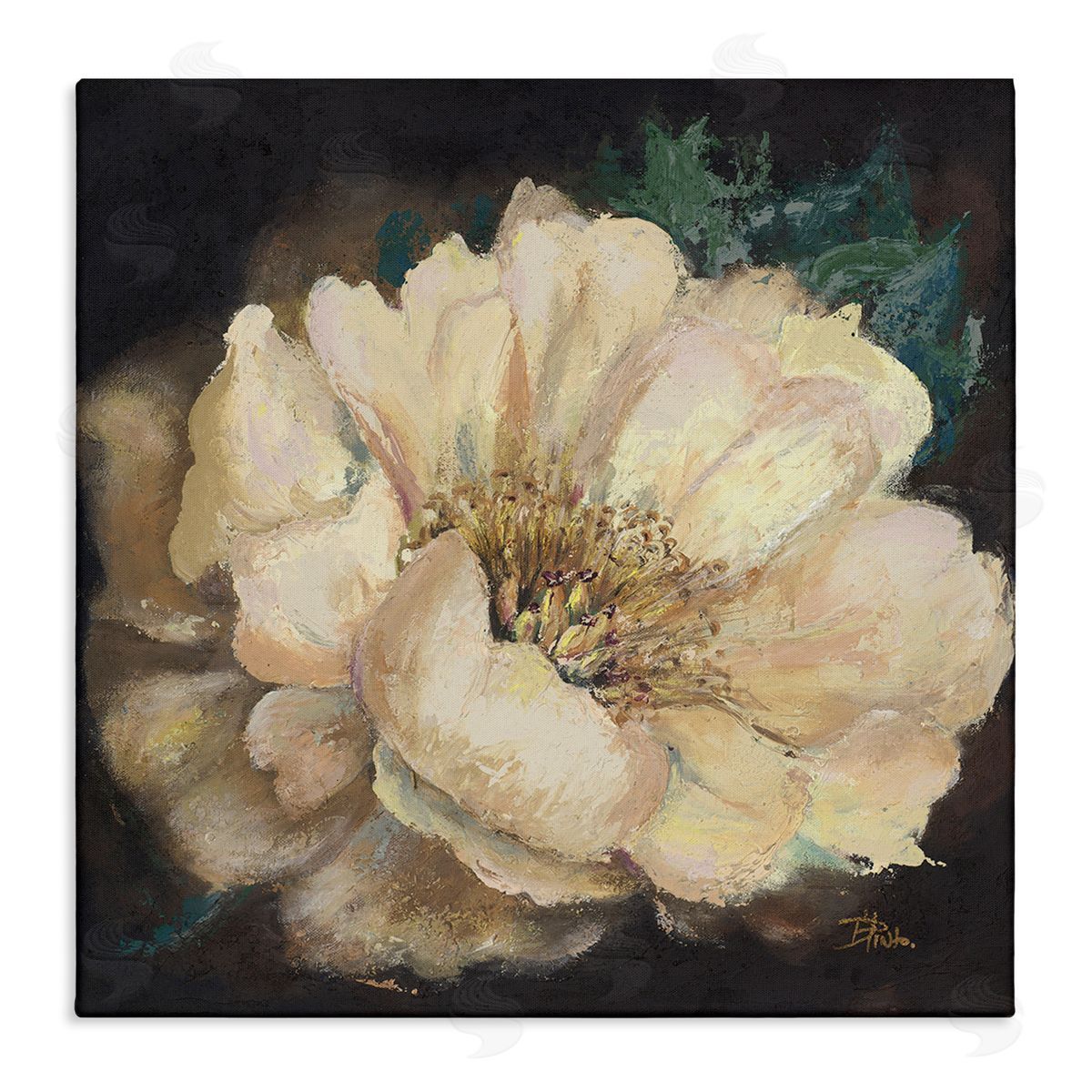 Blooming White Magnolia Canvas Wall Art, Home Decor by Patricia Pinto