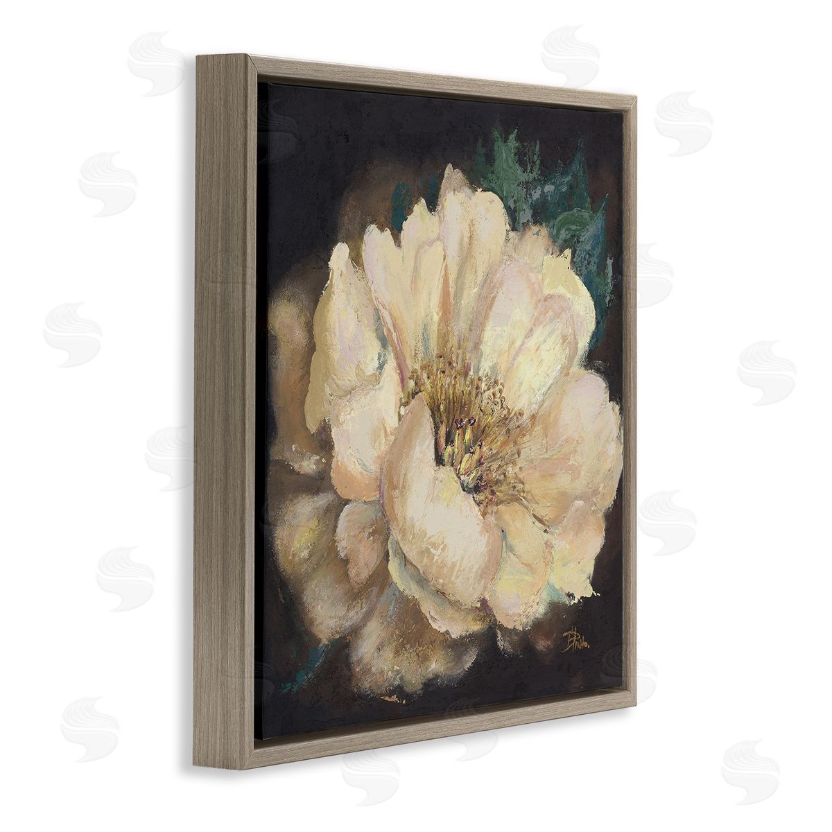 Blooming White Magnolia Brown Floating Frame Canvas Wall Art, Home Decor by Patricia Pinto