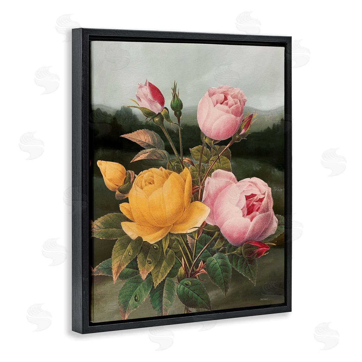 Vintage Peony Blooms Black Floating Frame Canvas Wall Art, Home Decor by Carol Robinson
