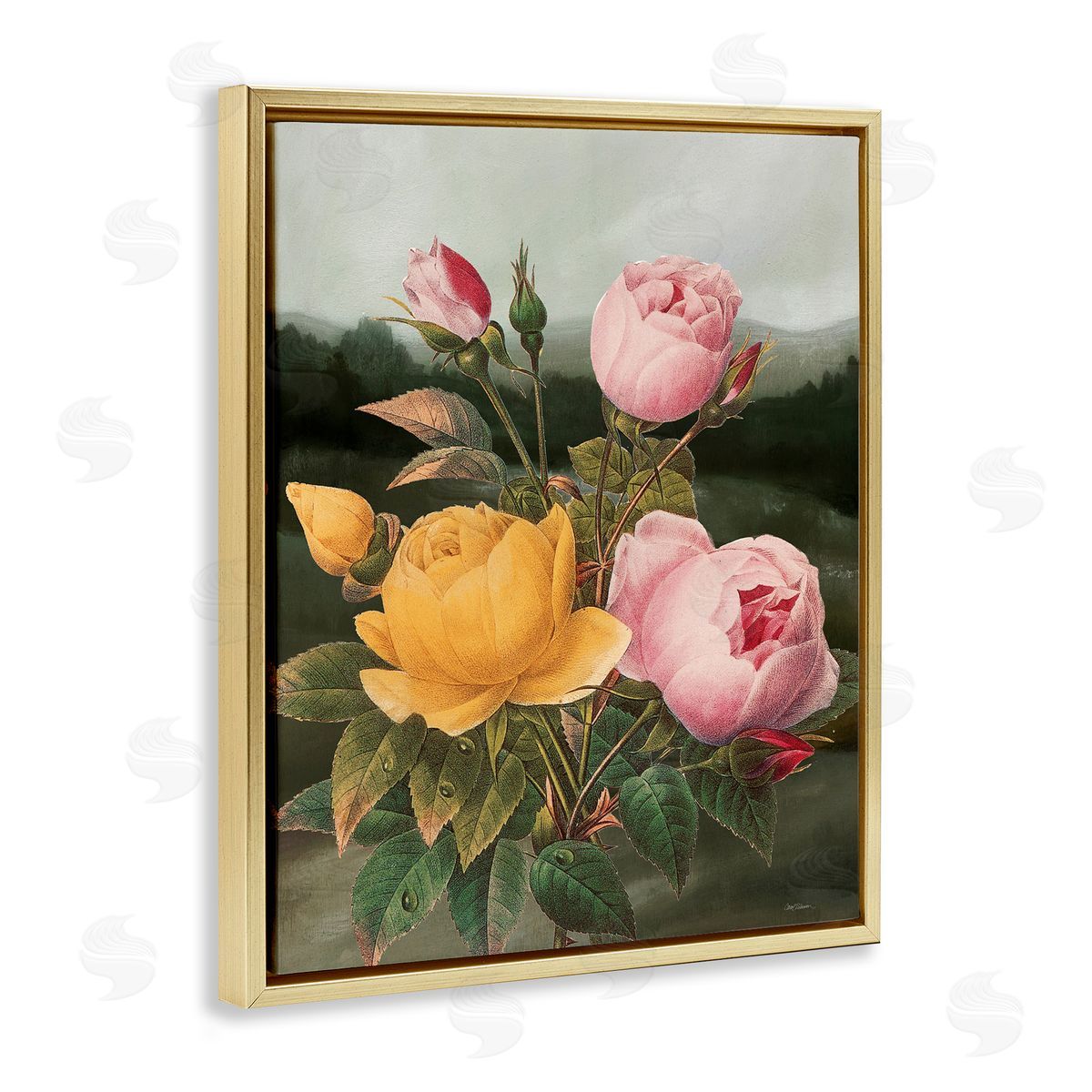 Vintage Peony Blooms Gold Floating Frame Canvas Wall Art, Home Decor by Carol Robinson