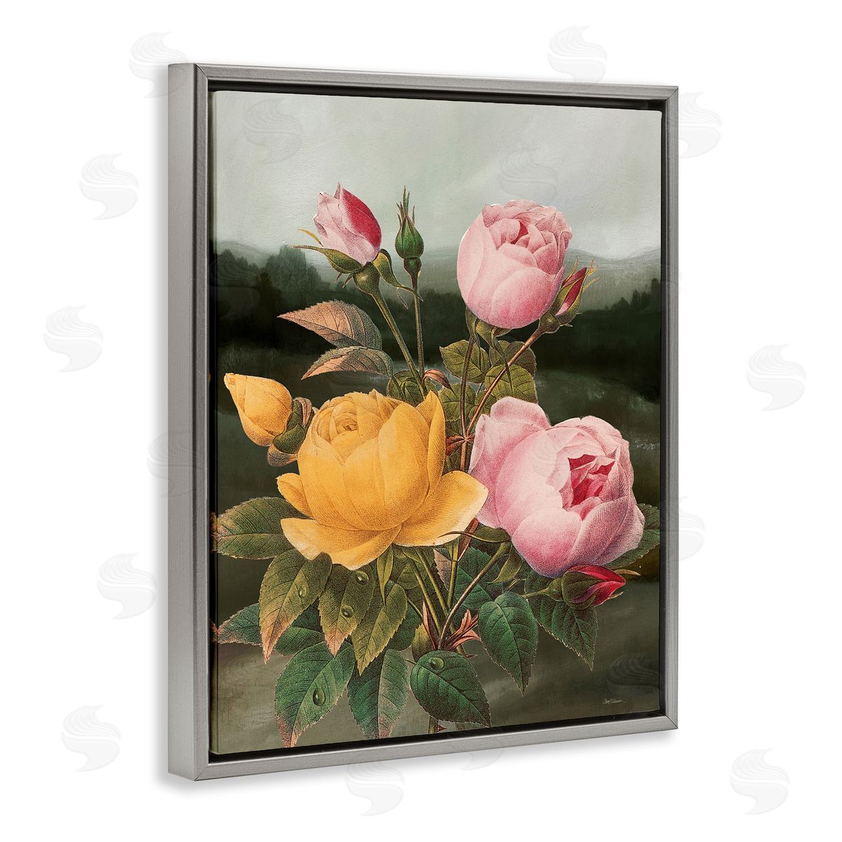 Vintage Peony Blooms Grey Floating Frame Canvas Wall Art, Home Decor by Carol Robinson