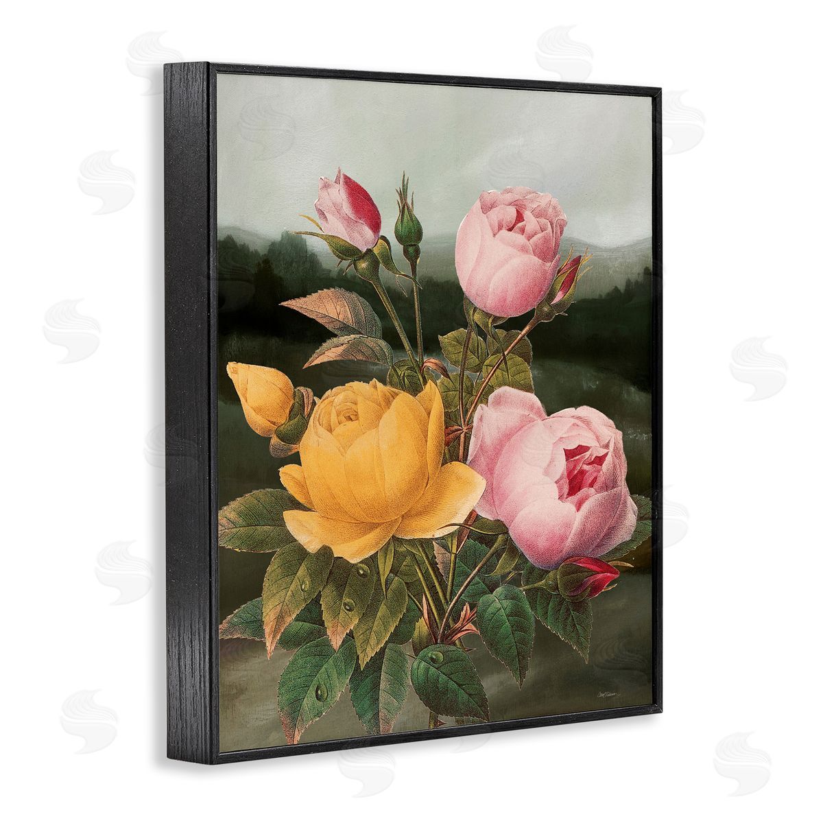 Vintage Peony Blooms Black Frame Print Wall Art, Home Decor by Carol Robinson