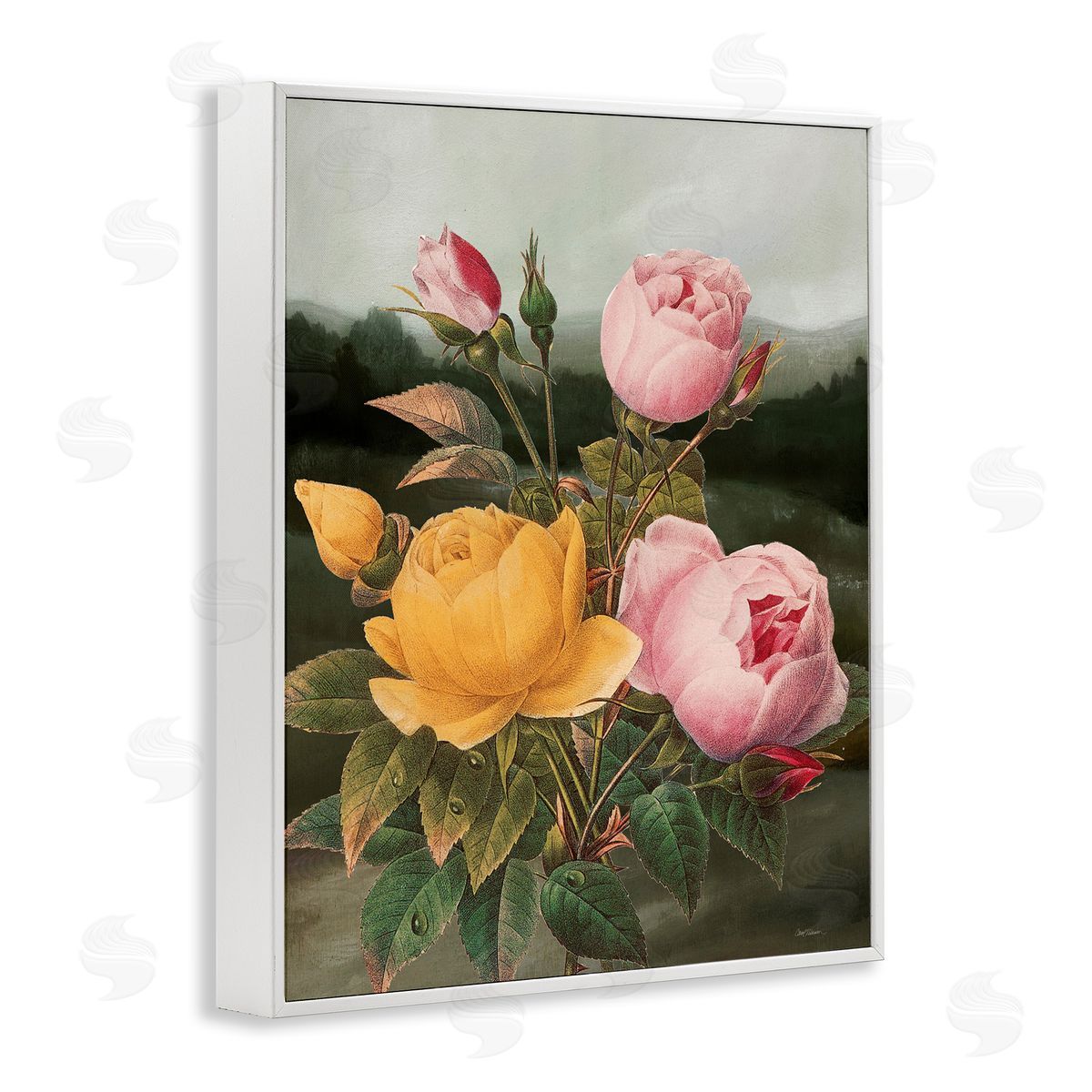 Vintage Peony Blooms White Frame Print Wall Art, Home Decor by Carol Robinson