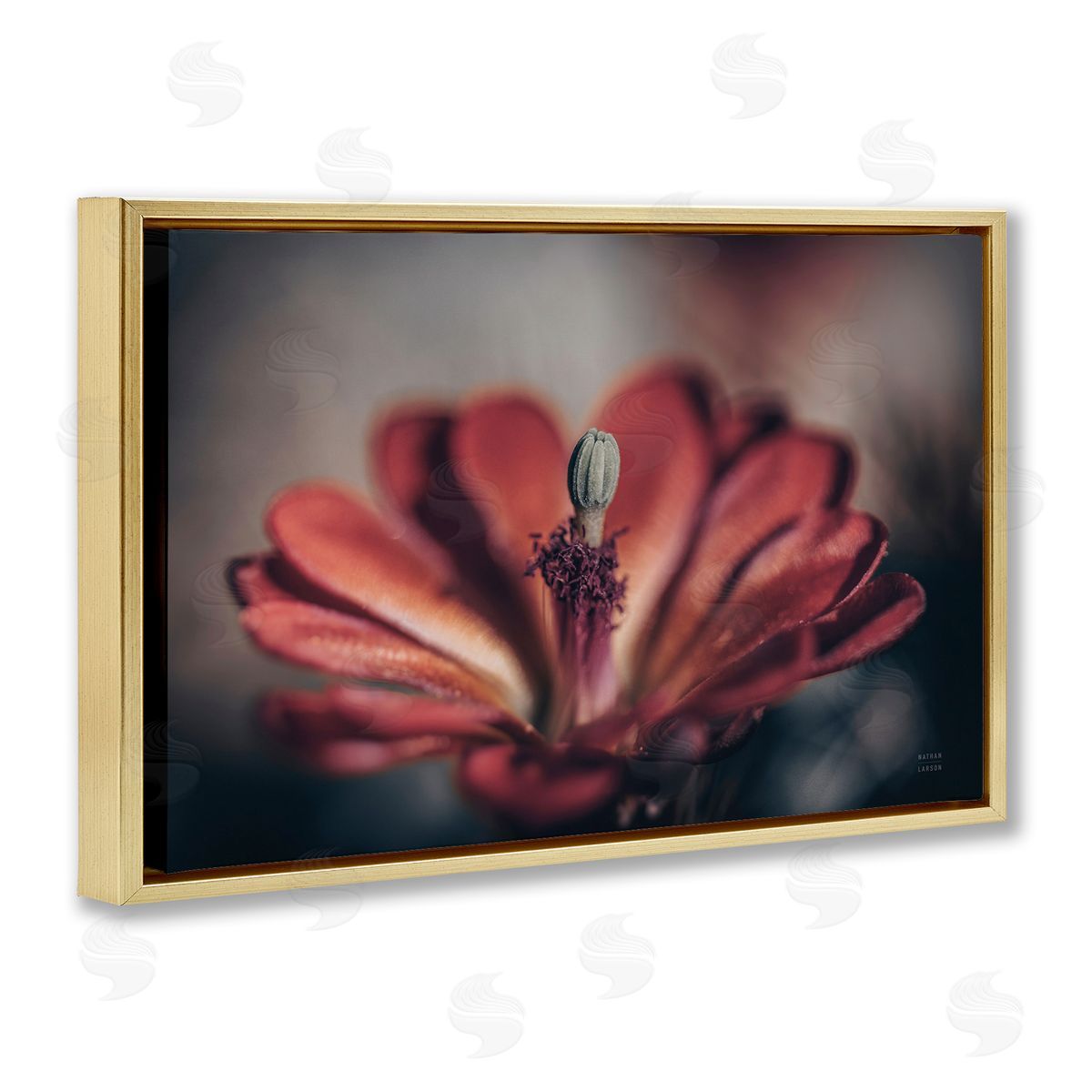 Red Elevation Bloom Gold Floating Frame Canvas Wall Art, Home Decor by Nathan Larson