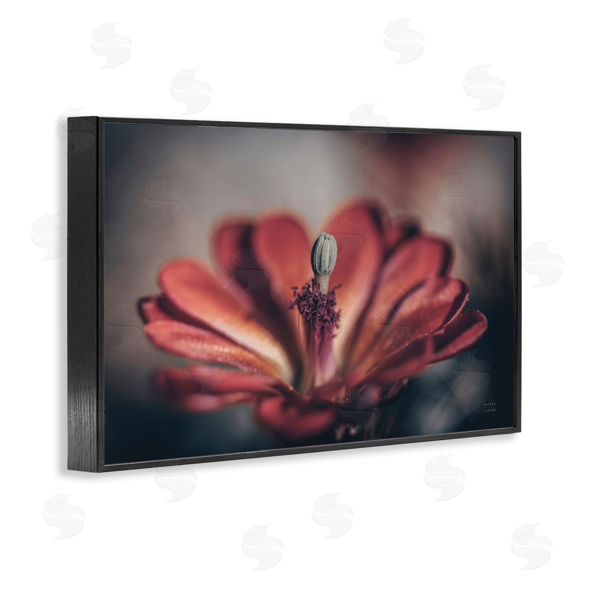 Red Elevation Bloom Black Frame Print Wall Art, Home Decor by Nathan Larson