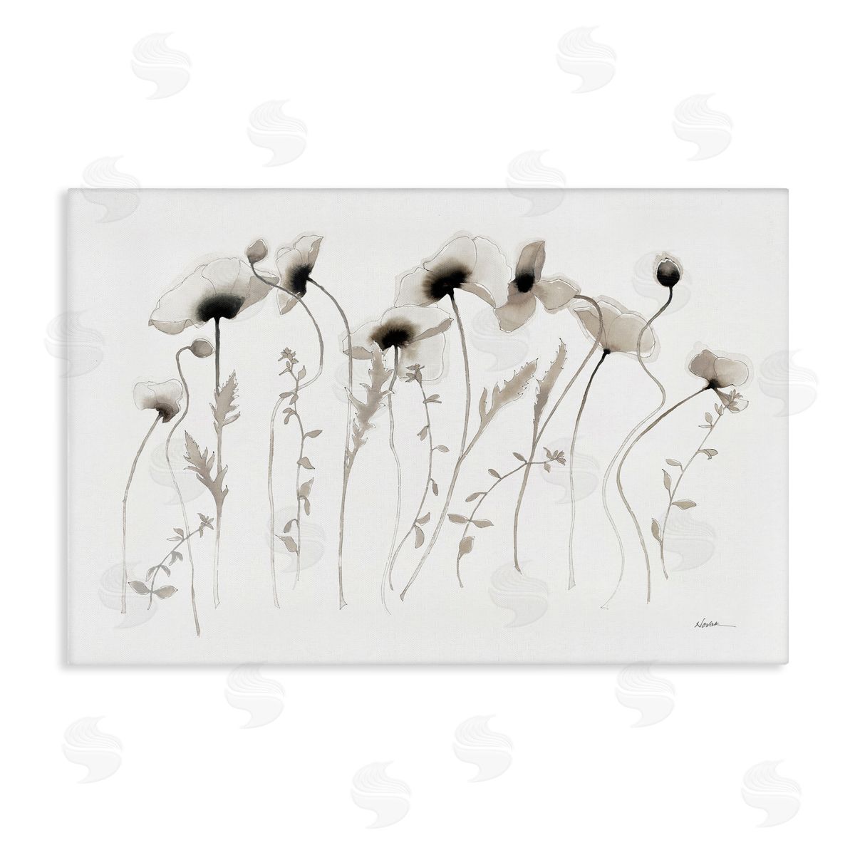 White Poppy Sprigs Canvas Wall Art, Home Decor by Shirley Novak