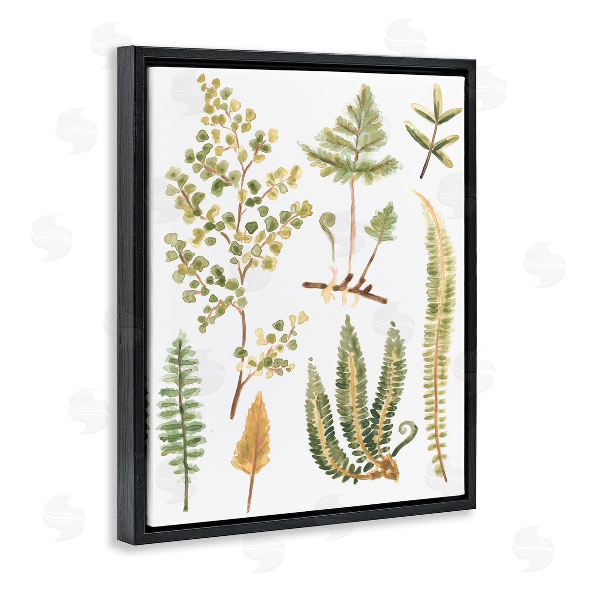 Wild Forest Ferns Black Floating Frame Canvas Wall Art, Home Decor by June Erica Vess