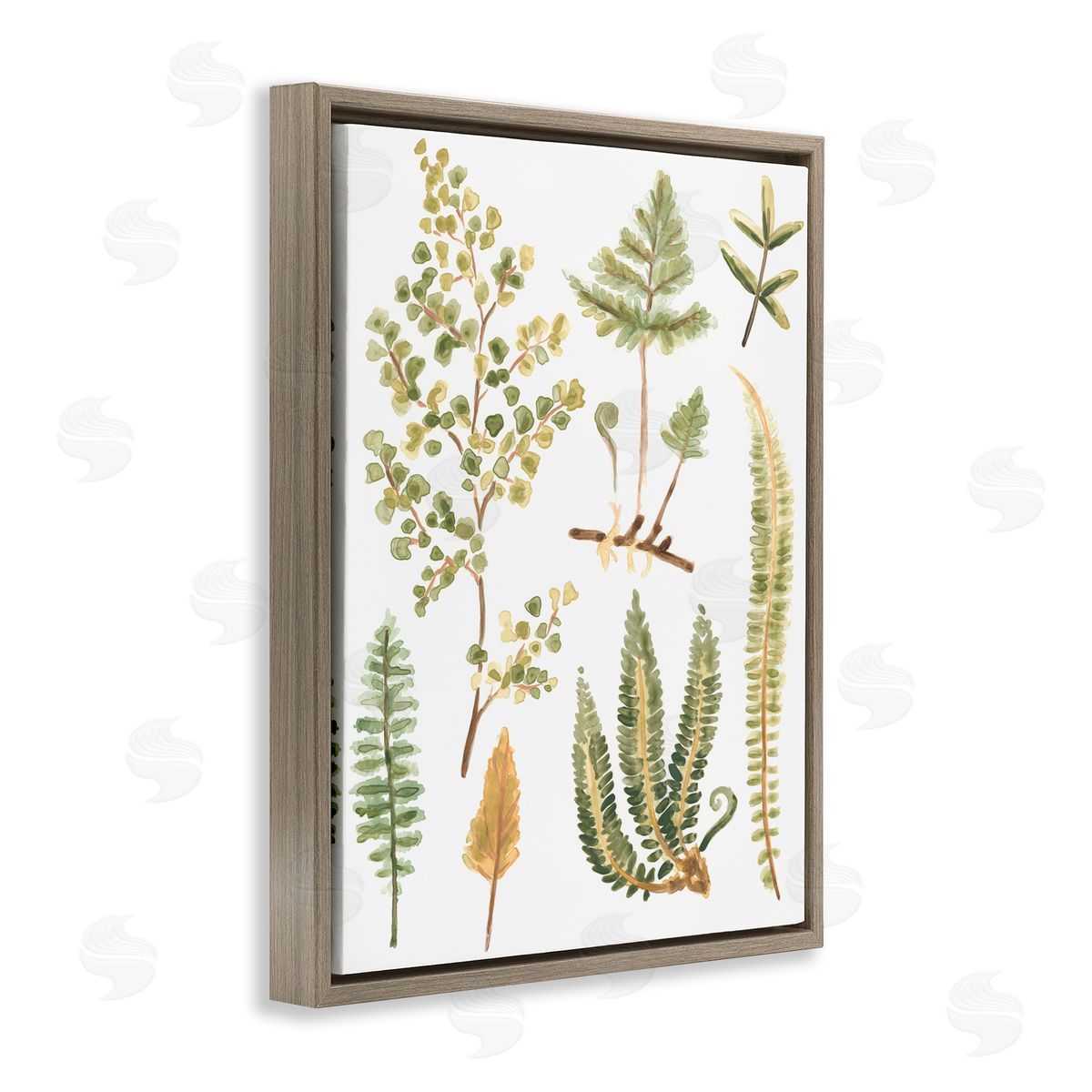 Wild Forest Ferns Brown Floating Frame Canvas Wall Art, Home Decor by June Erica Vess