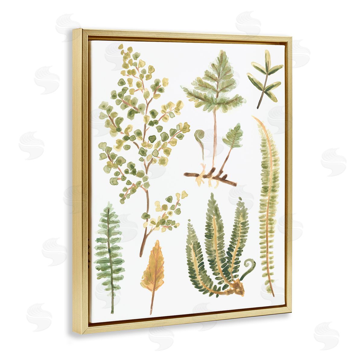 Wild Forest Ferns Gold Floating Frame Canvas Wall Art, Home Decor by June Erica Vess