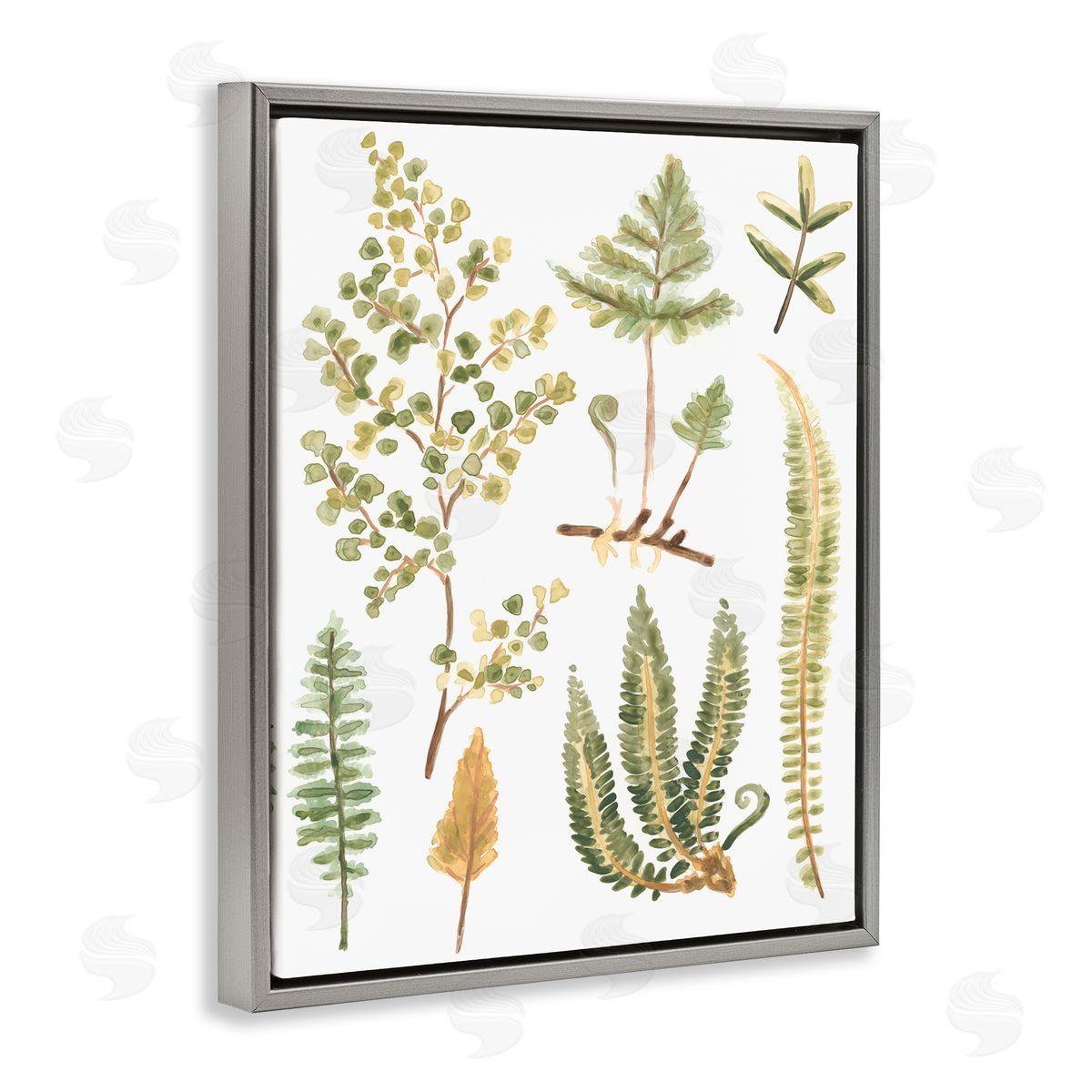 Wild Forest Ferns Grey Floating Frame Canvas Wall Art, Home Decor by June Erica Vess