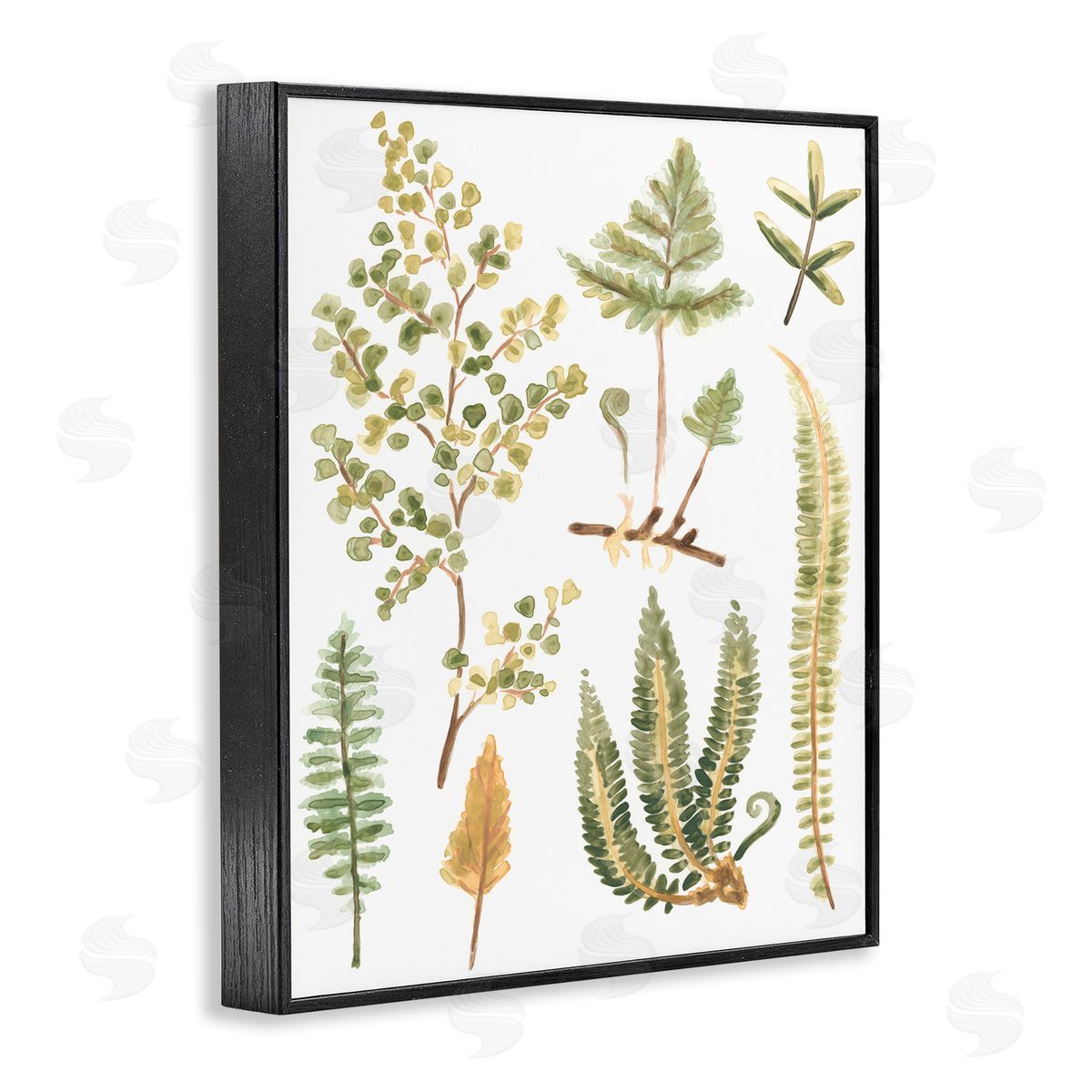 Wild Forest Ferns Black Frame Print Wall Art, Home Decor by June Erica Vess