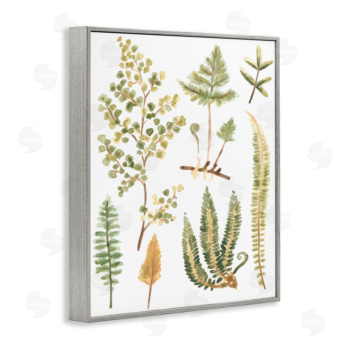 Wild Forest Ferns Grey Frame Print Wall Art, Home Decor by June Erica Vess