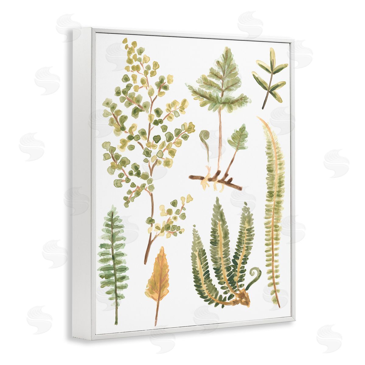 Wild Forest Ferns White Frame Print Wall Art, Home Decor by June Erica Vess