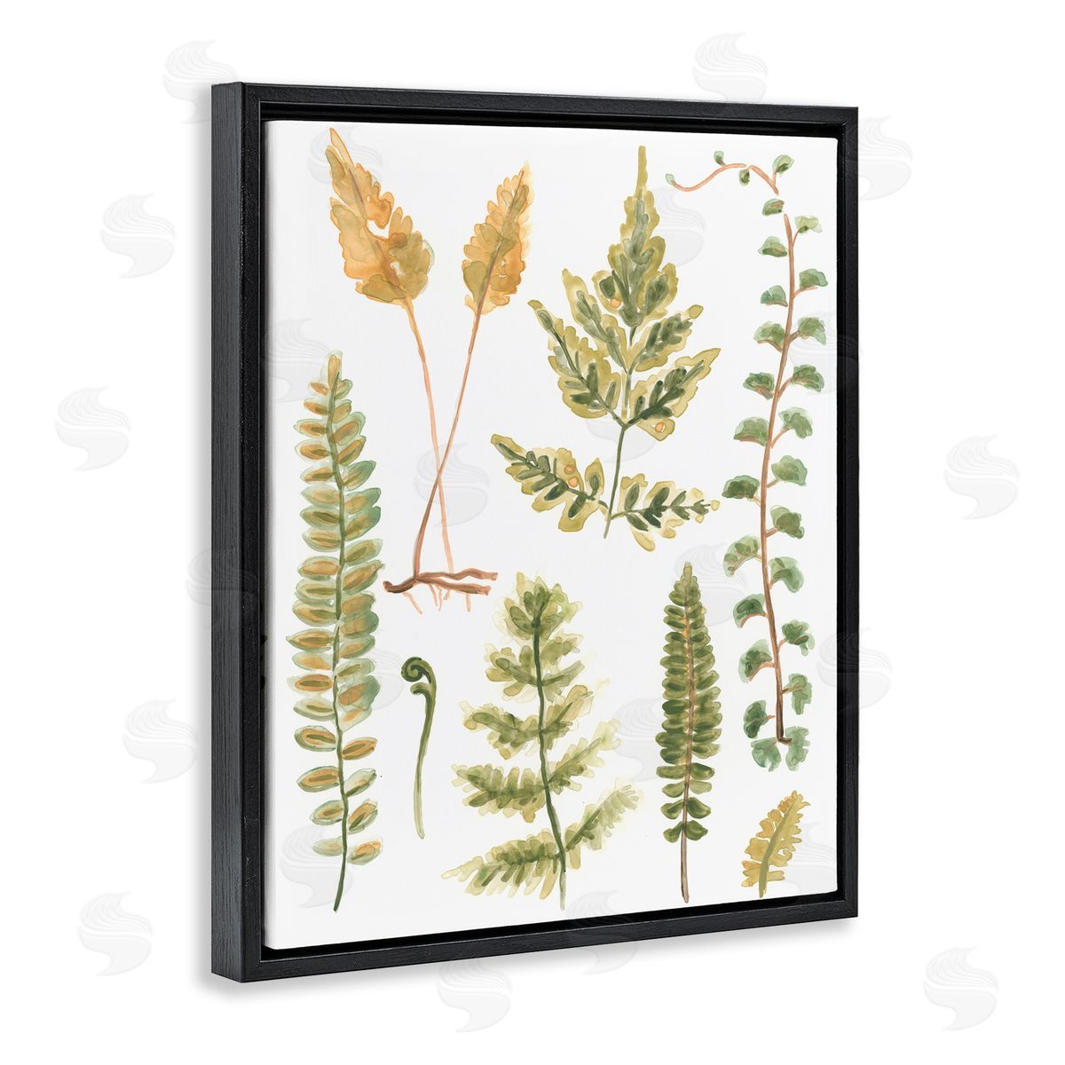 Varied Fern Leaves Black Floating Frame Canvas Wall Art, Home Decor by June Erica Vess